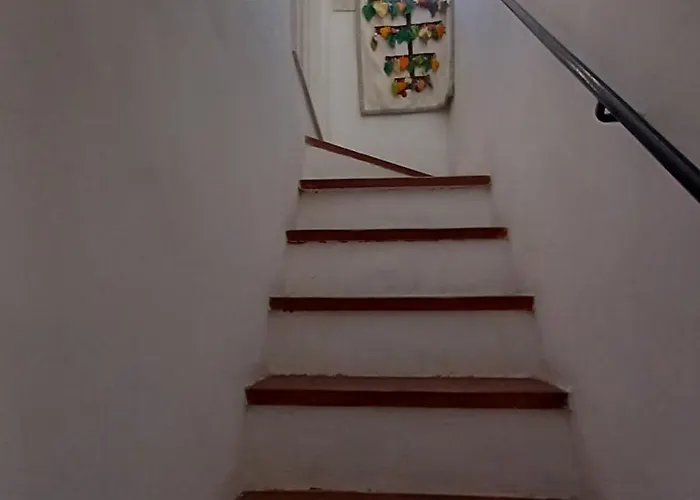 Casa Mafalda